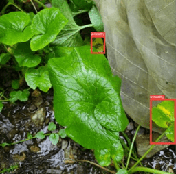 Wasabi Farming Management App (Bachelor Thesis) screenshot 7