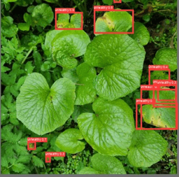 Wasabi Farming Management App (Bachelor Thesis) screenshot 10